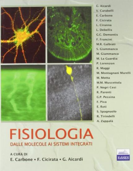 Immagine di FISIOLOGIA: DALLE MOLECOLE AI SISTEMI INTEGRATIFISIOLOGIA: DALLE MOLECOLE AI SISTEMI INTEGRATI