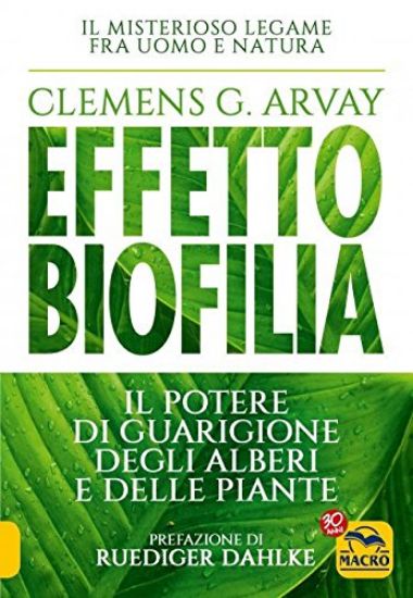 Immagine di EFFETTO BIOFILIA. IL POTERE DI GUARIGIONE DEGLI ALBERI E DELLE PIANTE