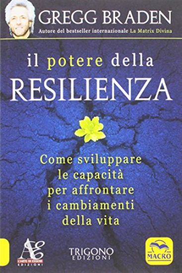 Immagine di IL POTERE DELLA RESILIENZA. COME SVILUPPARE LE CAPACITA` PER AFFRONTARE I CAMBIAMENTI