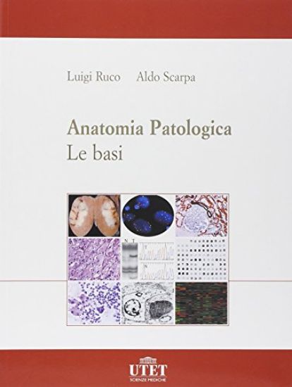 Immagine di ANATOMIA PATOLOGICA. LE BASI VOL.1