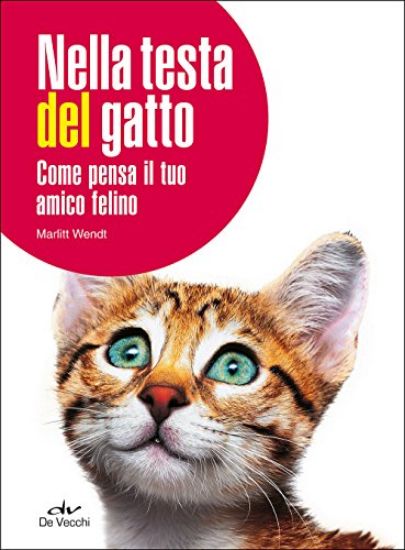 Immagine di NELLA TESTA DEL GATTO