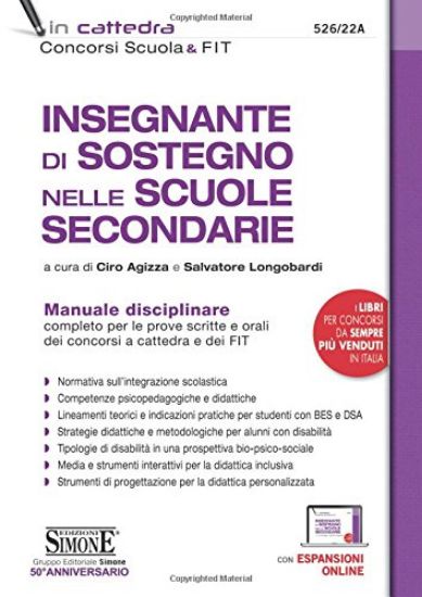 Immagine di INSEGNANTE DI SOSTEGNO NELLE SCUOLE SECONDARIE. MANUALE DISCIPLINARE