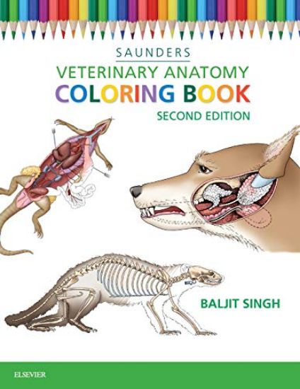 Immagine di VETERINARY ANATOMY COLORING BOOK