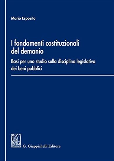 Immagine di FONDAMENTI COSTITUZIONALI DEL DEMANIO. BASI PER UNO STUDIO SULLA DISCIPLINA LEGISLATIVA DEI BENI PU