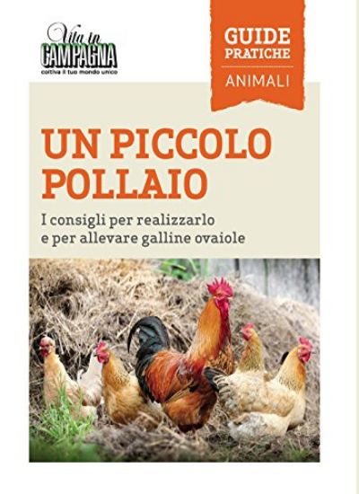 Immagine di UN PICCOLO POLLAIO. I CONSIGLI PER RALIZZARLO E PER ALLEVARE GALLINE OVAIOLE