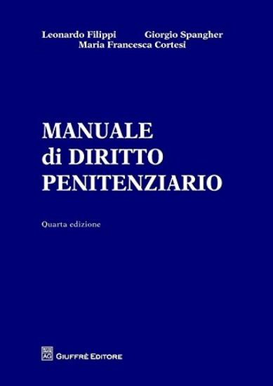 Immagine di MANUALE DI DIRITTO PENITENZIARIO