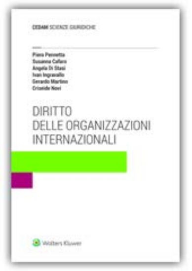 Immagine di DIRITTO DELLE ORGANIZZAZIONI INTERNAZIONALI