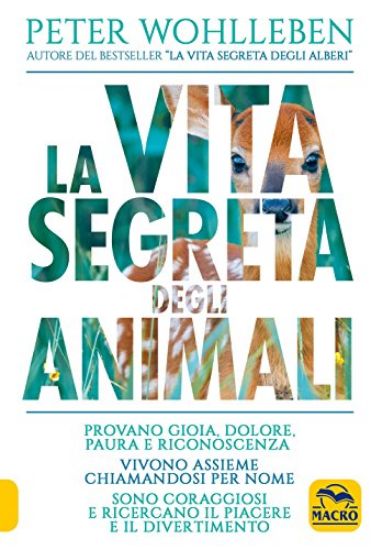 Immagine di VITA SEGRETA DEGLI ANIMALI (LA)