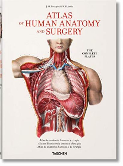 Immagine di ATLAS OF HUMAN ANATOMY AND SURGERY. EDIZ. MULTILINGUE