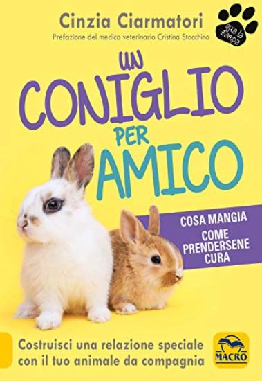 Immagine di CONIGLIO PER AMICO. UN ANIMALE DA COMPAGNIA (IL)