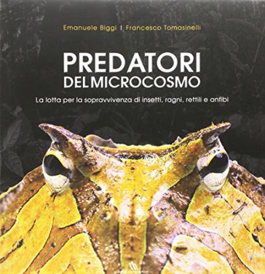 Immagine di PREDATORI DEL MICROCOSMO. LA LOTTA PER LA SOPRAVVIVENZA DI INSETTI, RAGNI, RETTILI E ANFIBI. EDI...