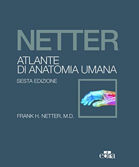 Immagine di NETTER. ATLANTE DI ANATOMIA UMANA