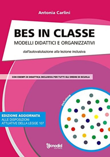 Immagine di BES IN  CLASSE. MODELLI DIDATTICI E ORGANIZZATIVI DALL`AUTOVALUTAZIONE ALLA LEZIONE INCLUSIVA