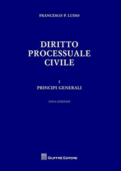 Immagine di DIRITTO PROCESSUALE CIVILE