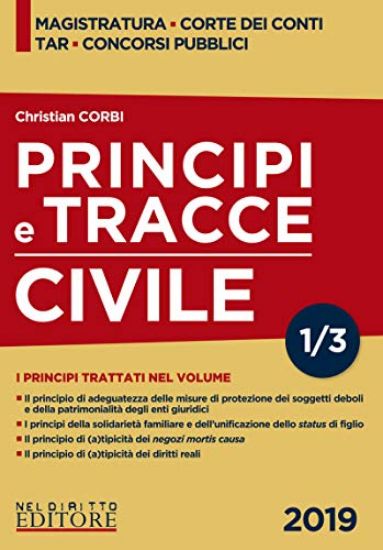 Immagine di PRINCIPI E TRACCE. CIVILE 2019 - VOLUME 3/1