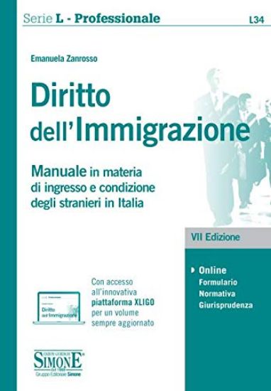 Immagine di DIRITTO DELL`IMMIGRAZIONE. MANUALE IN MATERIA DI INGRESSO E CONDIZIONE DEGLI STRANIERI IN ITALIA