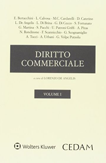 Immagine di DIRITTO COMMERCIALE