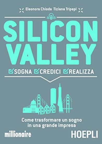 Immagine di SILICON VALLEY