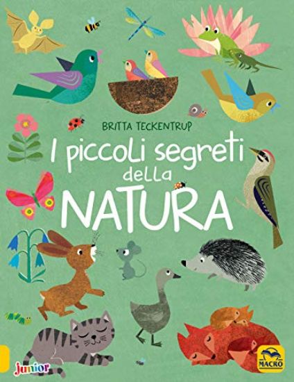 Immagine di PICCOLI SEGRETI DELLA NATURA (I)