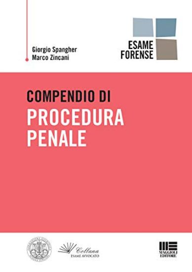 Immagine di COMPENDIO DI PROCEDURA PENALE 2019 PER L`ESAME FORENSE