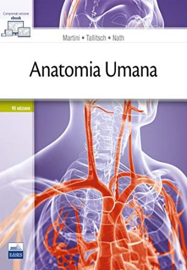 Immagine di ANATOMIA UMANA. 7 EDIZIONE