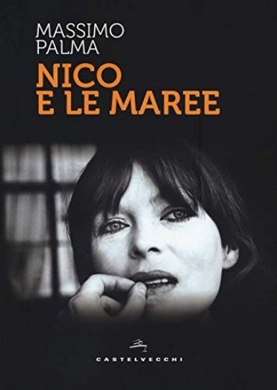 Immagine di NICO E LE MAREE