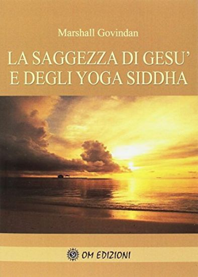 Immagine di SAGGEZZA DI GESU` E DEGLI YOGA SIDDHA (LA)