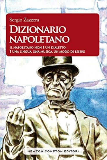 Immagine di DIZIONARIO NAPOLETANO