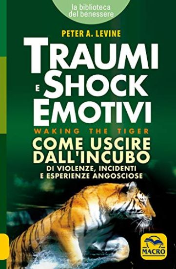 Immagine di TRAUMI E SHOCK EMOTIVI. COME USCIRE DALL`INCUBO DI VIOLENZE, INCIDENTI E ESPERIENZE ANGOSCIOSE