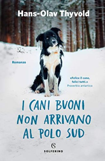 Immagine di CANI BUONI NON ARRIVANO AL POLO SUD (I)