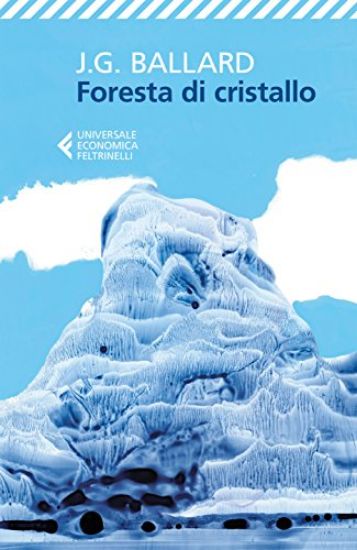 Immagine di FORESTA DI CRISTALLO