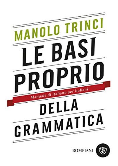 Immagine di BASI PROPRIO DELLA GRAMMATICA. MANUALE DI ITALIANO PER ITALIANI (LE)