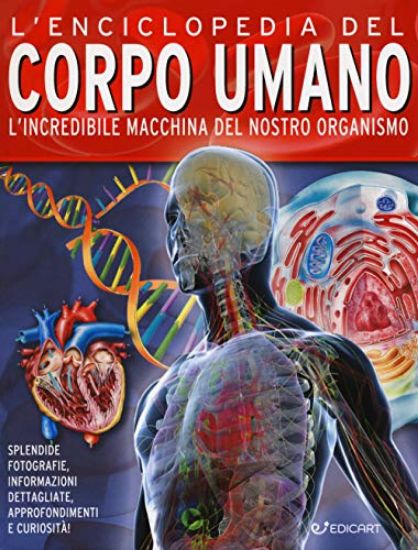 Immagine di ENCICLOPEDIA DEL CORPO UMANO. L`INCREDIBILE MACCHINA DEL NOSTRO ORGANISMO (L`)