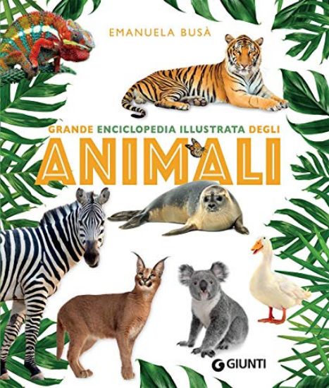 Immagine di GRANDE ENCICLOPEDIA ILLUSTRATA DEGLI ANIMALI