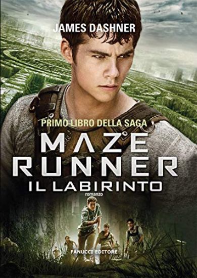 Immagine di LABIRINTO. MAZE RUNNER (IL)