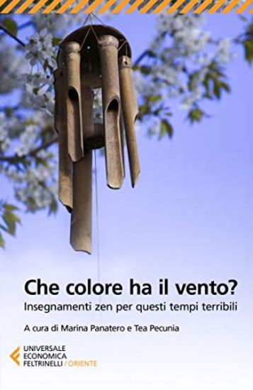 Immagine di CHE COLORE HA IL VENTO? INSEGNAMENTI ZEN PER QUESTI TEMPI TERRIBILI