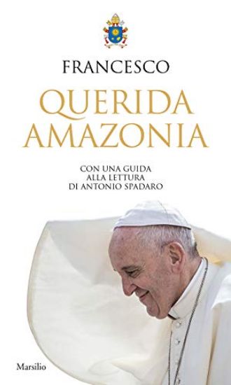 Immagine di «QUERIDA AMAZONIA». ESORTAZIONE APOSTOLICA POSTSINODALE AL POPOLO DI DIO E A TUTTE LE PERSONE DI...