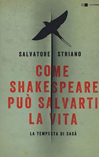 Immagine di COME SHAKESPEARE PUO` SALVARTI LA VITA. LA TEMPESTA DI SASA`