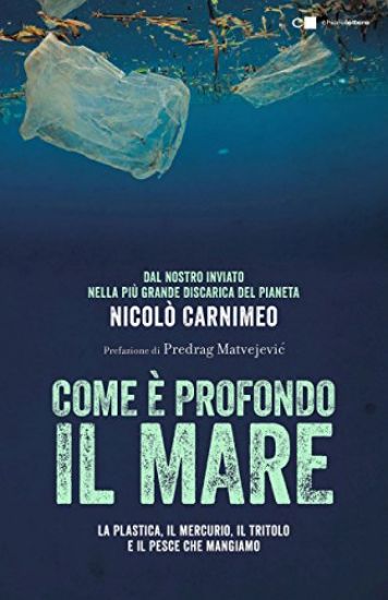 Immagine di COME E` PROFONDO IL MARE. LA PLASTICA, IL MERCURIO, IL TRITOLO E IL PESCE CHE MANGIAMO