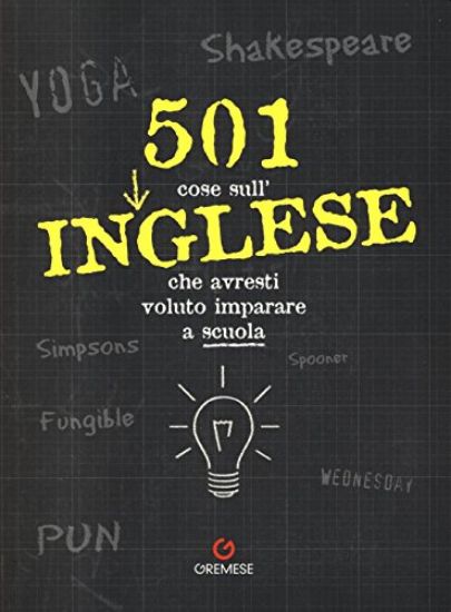 Immagine di 501 COSE SULL`INGLESE CHE AVRESTI VOLUTO IMPARARE A SCUOLA