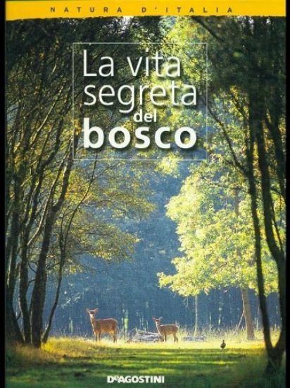 Immagine di VITA SEGRETA DEL BOSCO (LA)