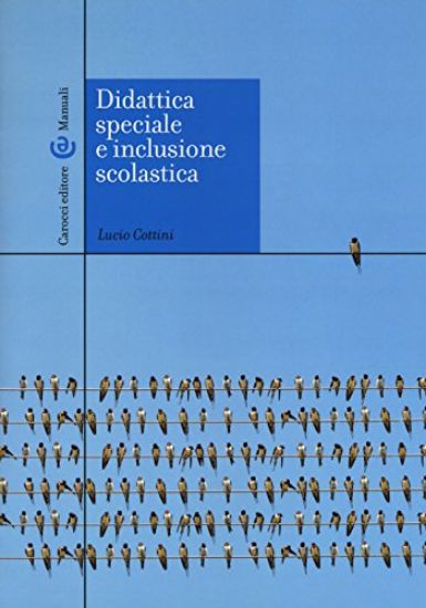 Immagine di DIDATTICA SPECIALE E INCLUSIONE SCOLASTICA