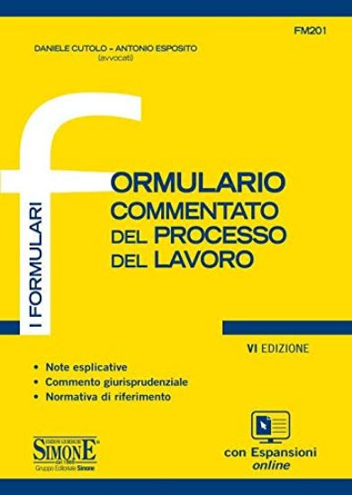 Immagine di FORMULARIO COMMENTATO DEL PROCESSO DEL LAVORO