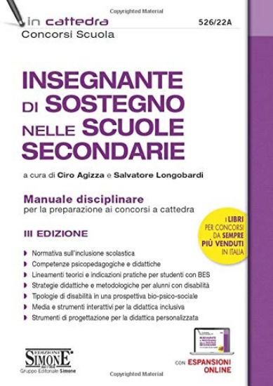 Immagine di INSEGNANTE DI SOSTEGNO NELLE SCUOLE SECONDARIE. MANUALE DISCIPLINARE