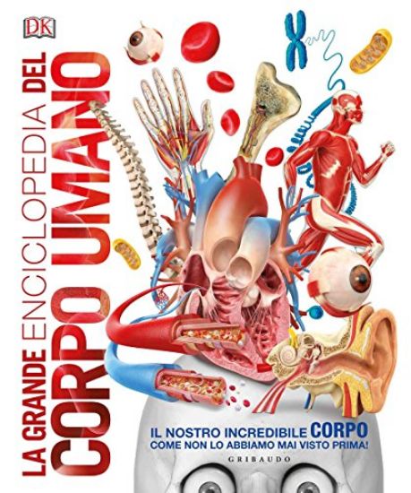 Immagine di GRANDE ENCICLOPEDIA DEL CORPO UMANO. EDIZ. A COLORI (LA)