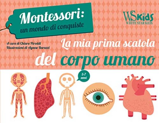 Immagine di MIA PRIMA SCATOLA DEL CORPO UMANO. MONTESSORI: UN MONDO DI CONQUISTE. CON POSTER. CON 15 CARTE (LA)