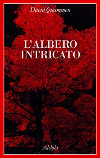 Immagine di ALBERO INTRICATO (L`)