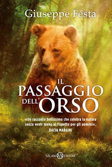 Immagine di PASSAGGIO DELL`ORSO (IL)