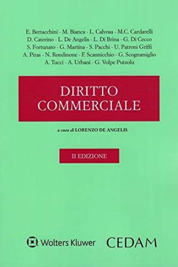 Immagine di DIRITTO COMMERCIALE