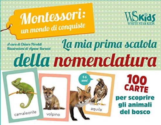 Immagine di MIA PRIMA SCATOLA DELLA NOMENCLATURA. MONTESSORI: UN MONDO DI CONQUISTE. CON 100 TESSERE (LA)